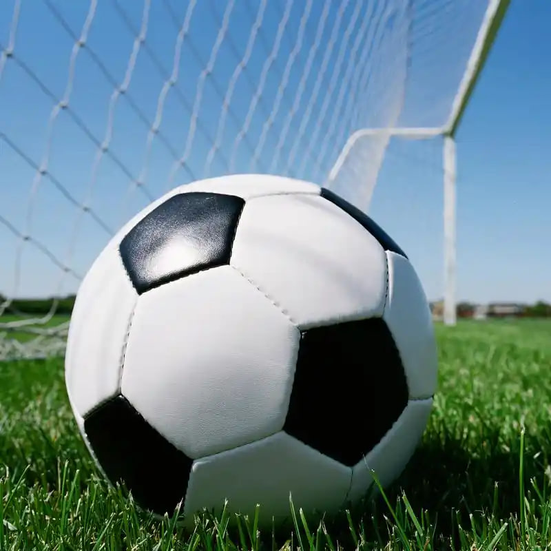 红单app手机展示