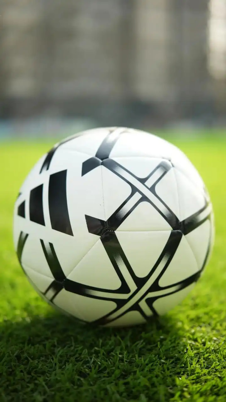 红单app下载二维码